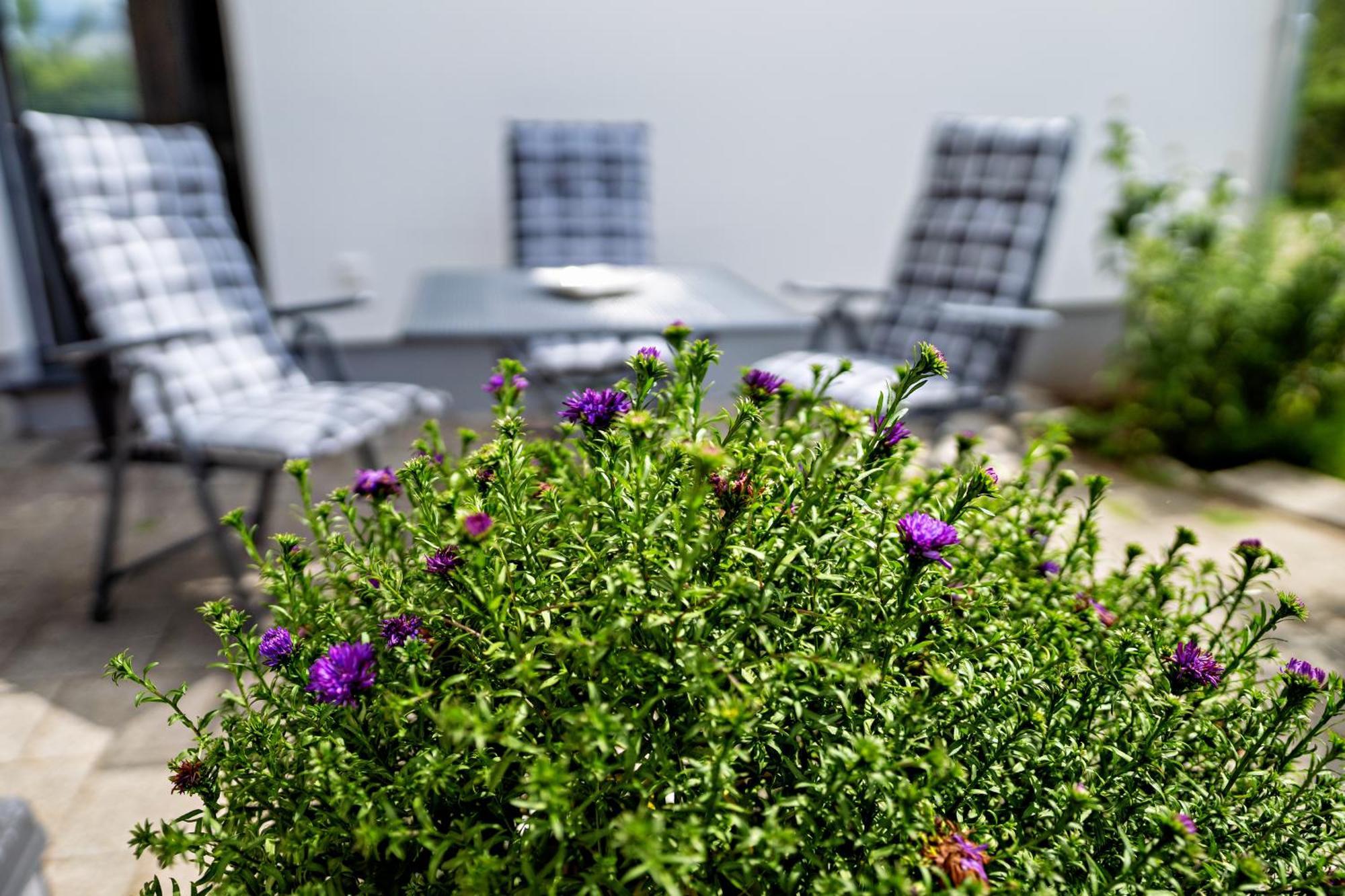 Appartement 2 - Duenenblick Boergerende-Rethwisch Ngoại thất bức ảnh